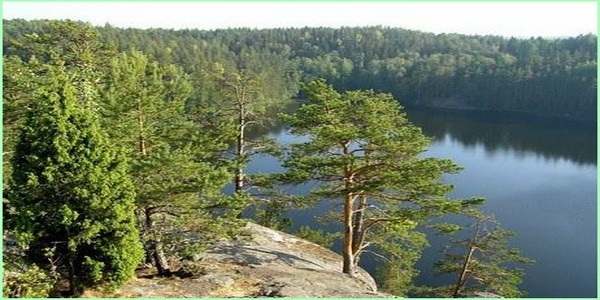 Вы сейчас просматриваете Аэропорт Хельсинки расписание рейсов