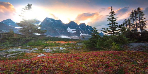 Подробнее о статье Консолидатор авиабилетов