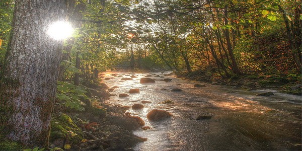 Подробнее о статье Стоянка в аэропорту Хельсинки: в аэропорт на своем автомобиле