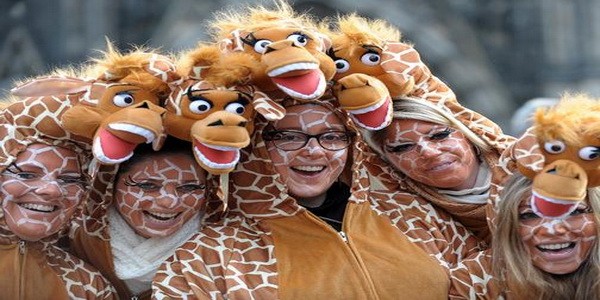 Подробнее о статье Авиабилеты Москва Дюссельдорф дешево– летим на карнавал