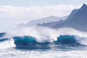 Температура на Тенерифе в декабре — гостеприимство острова вечной весны