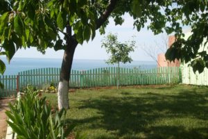 Купить дачу в Севастополе недорого : инвестируйте в недвижимость, а мы расскажем где ее купить ,как, за сколько!