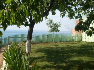 Купить дачу в Севастополе недорого : инвестируйте в недвижимость, а мы расскажем где ее купить ,как, за сколько!