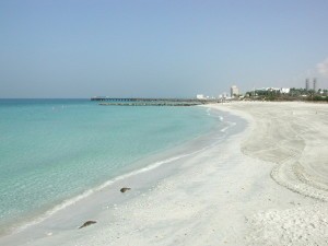 Объединенные Арабские Эмираты карта мира