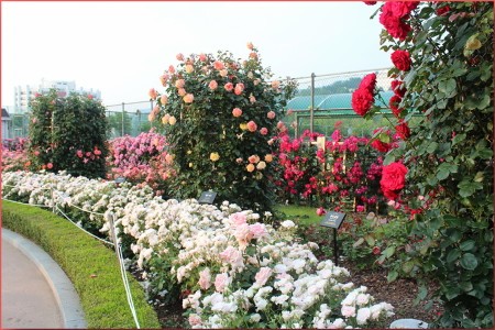 Абрау Дюрсо как добраться