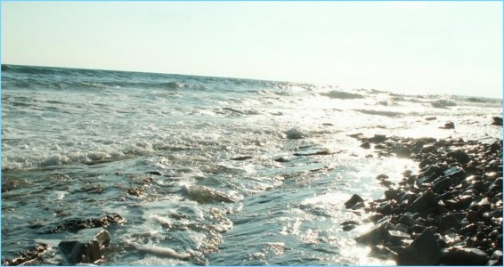 Абрау Дюрсо как добраться