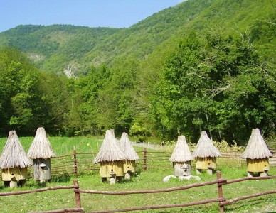 Бетта что посмотреть в окрестностях. %D0%9F%D0%BE%D1%81%D0%B5%D0%BB%D0%BE%D0%BA %D0%91%D0%B5%D1%82%D1%82%D0%B0 %D1%87%D0%B0%D1%81%D1%82%D0%BD%D1%8B%D0%B9 %D1%81%D0%B5%D0%BA%D1%82%D0%BE%D1%80 12. Бетта что посмотреть в окрестностях фото. Бетта что посмотреть в окрестностях-%D0%9F%D0%BE%D1%81%D0%B5%D0%BB%D0%BE%D0%BA %D0%91%D0%B5%D1%82%D1%82%D0%B0 %D1%87%D0%B0%D1%81%D1%82%D0%BD%D1%8B%D0%B9 %D1%81%D0%B5%D0%BA%D1%82%D0%BE%D1%80 12. картинка Бетта что посмотреть в окрестностях. картинка %D0%9F%D0%BE%D1%81%D0%B5%D0%BB%D0%BE%D0%BA %D0%91%D0%B5%D1%82%D1%82%D0%B0 %D1%87%D0%B0%D1%81%D1%82%D0%BD%D1%8B%D0%B9 %D1%81%D0%B5%D0%BA%D1%82%D0%BE%D1%80 12.