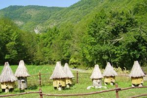 Поселок Бета: описание маленькой жемчужины Краснодарского края