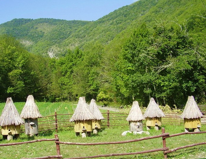 Подробнее о статье Поселок Бета: описание маленькой жемчужины Краснодарского края