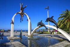 Подробнее о статье Абхазия отдых цены всё включено Пицунда