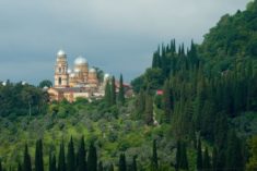 Подробнее о статье Новый Афон Абхазия пансионаты и санатории