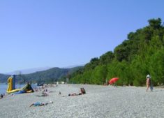 Подробнее о статье Поселок Лдзаа Абхазия частный сектор