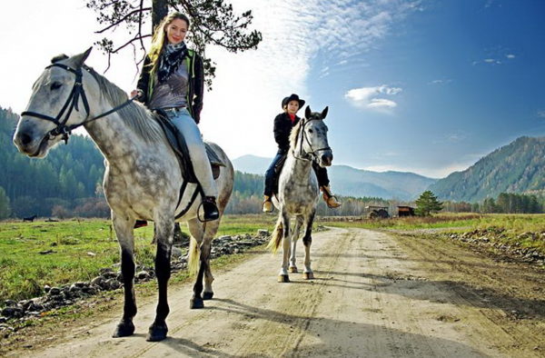 Прогулки на лошадях на Камчатке