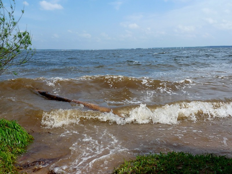 В беларуси есть море