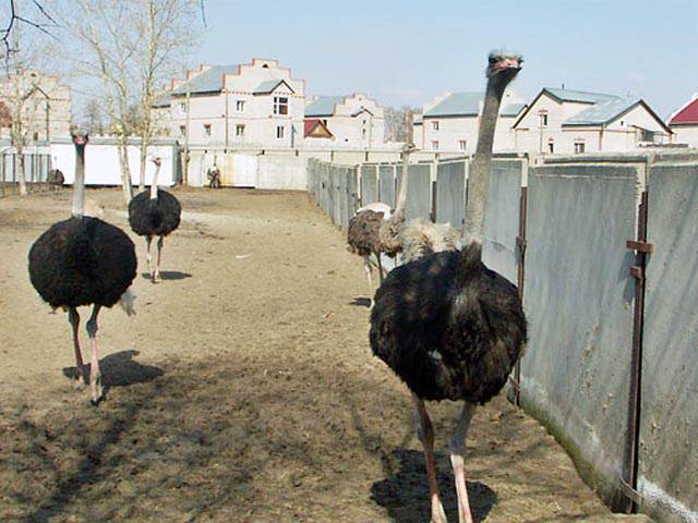 Подробнее о статье Мурманск достопримечательности фото с описанием