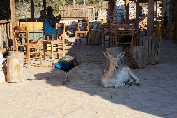 Подробнее о статье Закинф как добраться и отдых с детьми на Закинфе