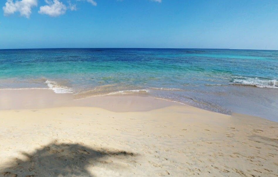 Доминикана тропическое море, синяя вода и кокосовые пальмы у берега