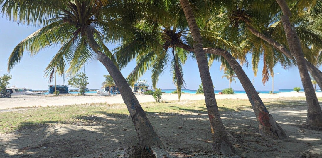 Подробнее о статье Мальдивы 2026: фото пляжей, цены на отели и что нужно знать туристу