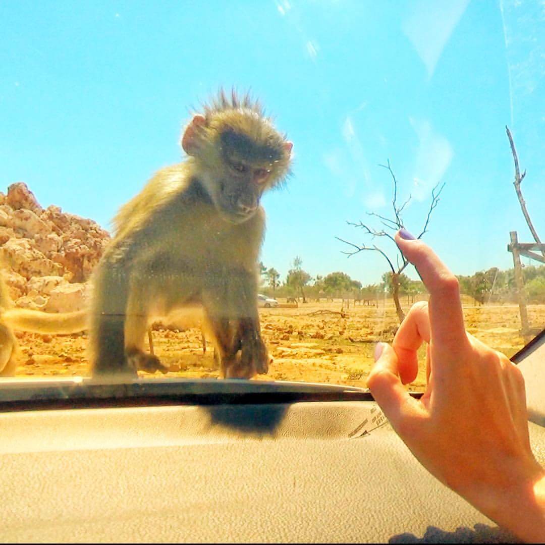 Подробнее о статье Майорка достопримечательности