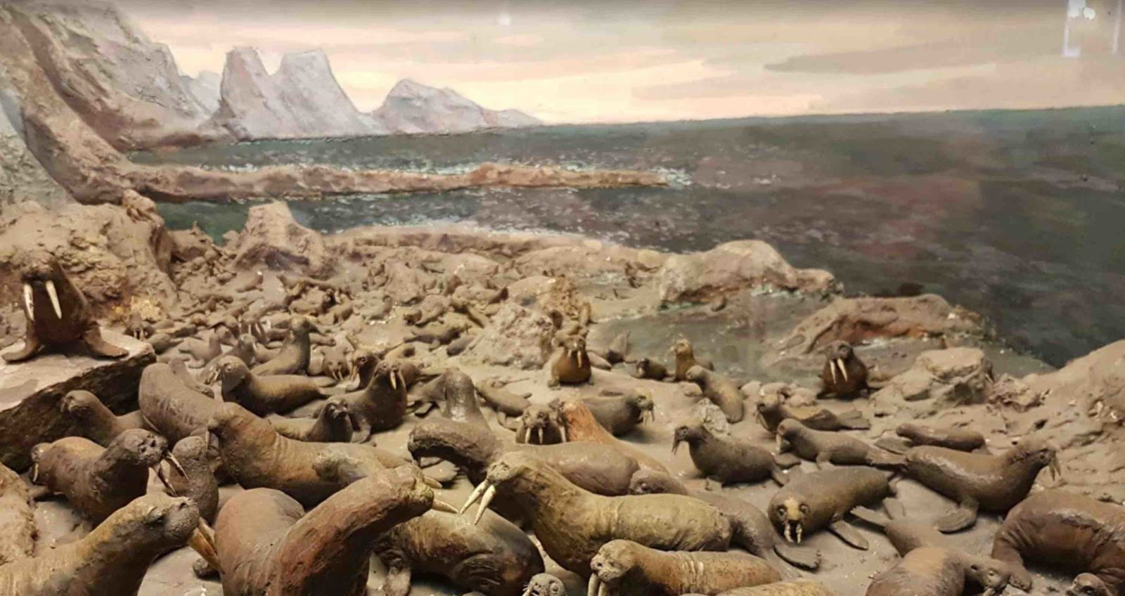 Подробнее о статье Санкт-Петербург зимой, где побывать, что посмотреть