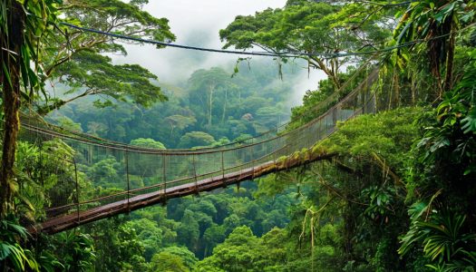 Подробнее о статье Аренал и Монтеверде: маршрут на 7 дней по природе Коста-Рики