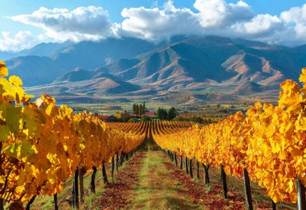 Подробнее о статье Кахетия и Сванетия: маршрут на 7 дней — вино и горы Грузии
