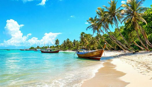 Подробнее о статье Побережье Кении: Диани, Момбаса, Ламу — гид на 7 дней