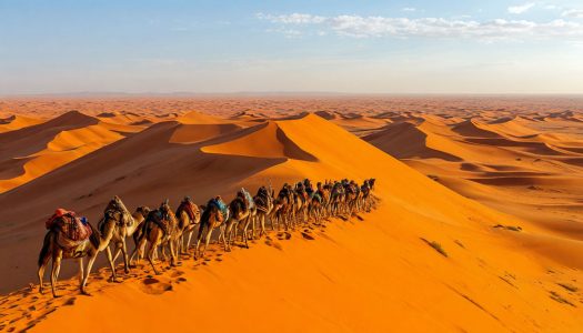 Подробнее о статье Пустыня Гоби в Монголии: маршрут на 7 дней — гид по югу