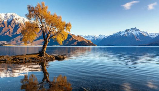 Подробнее о статье Южный остров Новой Зеландии: маршрут на 10 дней