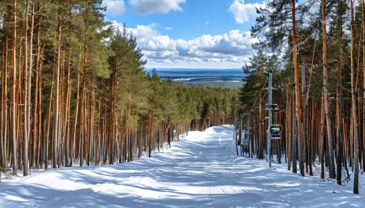 Подробнее о статье Гора Волчиха: горнолыжка в 30 минутах от Екатеринбурга