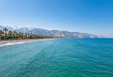 Новый год в Абхазии: море, пальмы и снежные горы